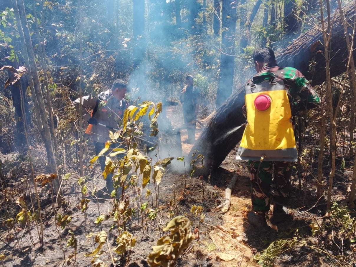 Empat Jam Berjibaku, Babinsa Bersama Warga Padamkan Kebakaran Lahan di Gantarang